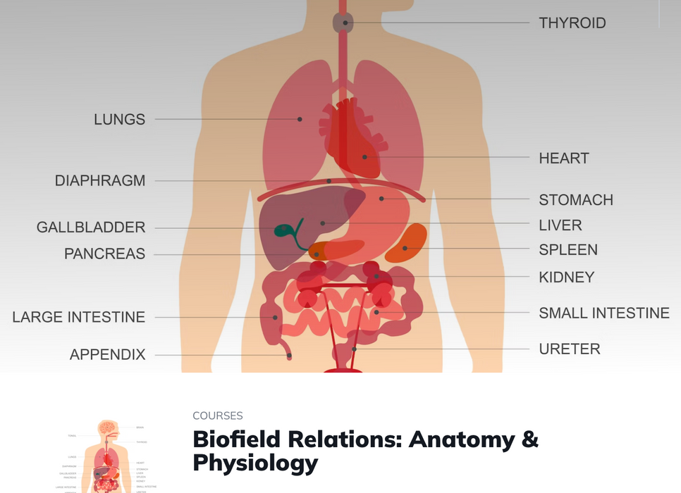 Biofield Relations: Anatomy & Physiology